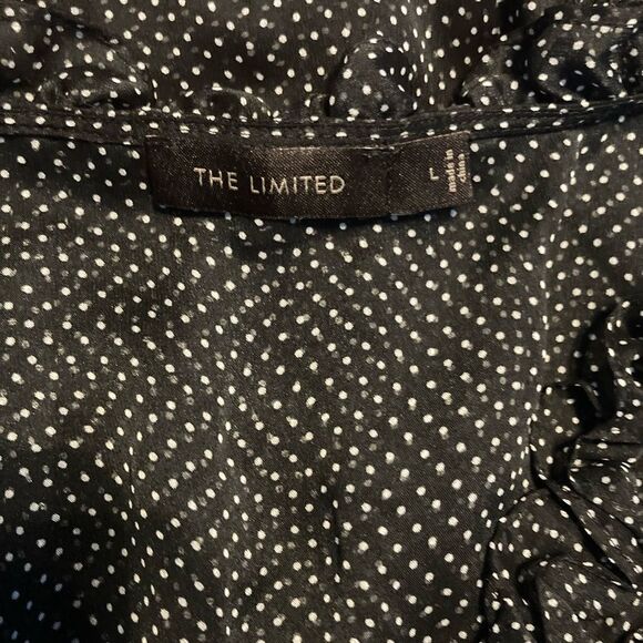 The Limited Black And White Sheer Polka Dot Ruffle Blouse - Picture 2 of 5